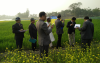 Bangladesh-Agricultural-Extension-Network2