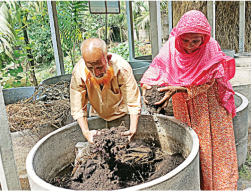 Mohinikanta Roy and Radhika Rani working to retaining soil fertility for decades